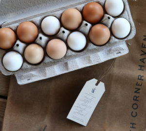 Farm Fresh Eggs are highly beneficial for you