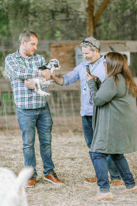 Petting a Goat at a Corporate Retreat at North Corner Haven