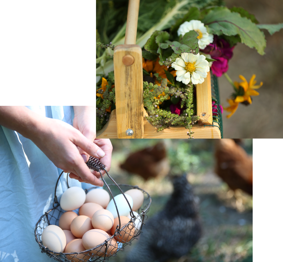 About North Corner Haven